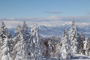 大雪のあと：当社代表岩本が撮影した写真です。